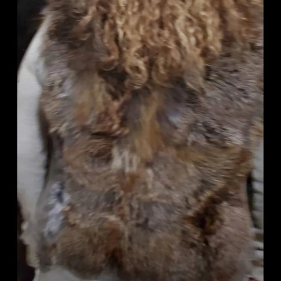 RABBIT FOX SUEDE FUR VEST - Picture 2 of 5